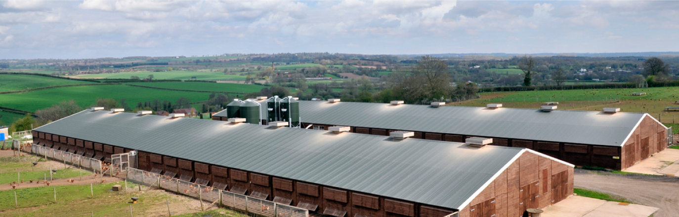 Aerial of bowlers